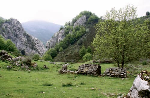 Melordaña (Casu)