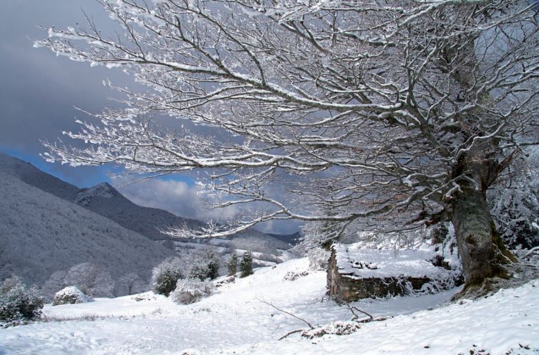 Braña Las Cadenas (Teberga)