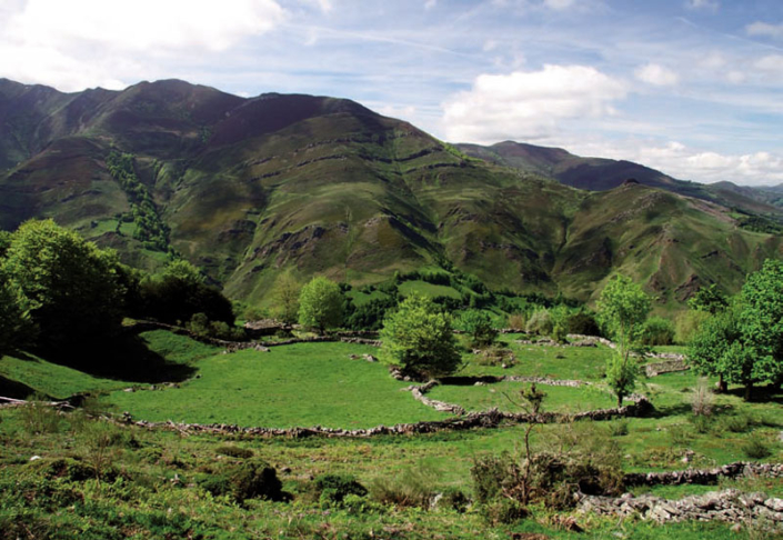 Braña (Yananzanes, Ayer)