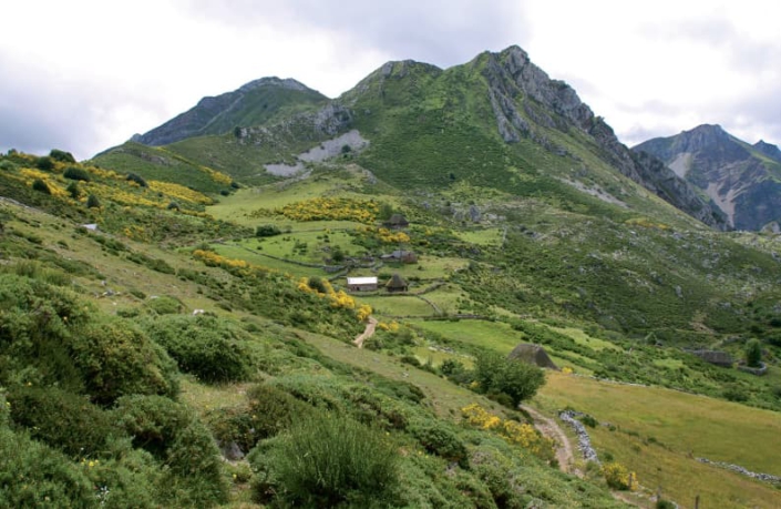 Braña Mumián (Somiedu)