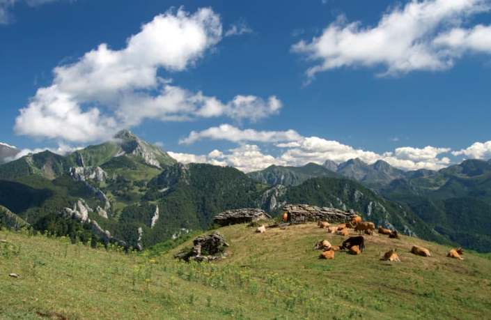 Braña de Piedrafita (Casu)
