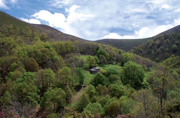 Braña El Candal (Allande)